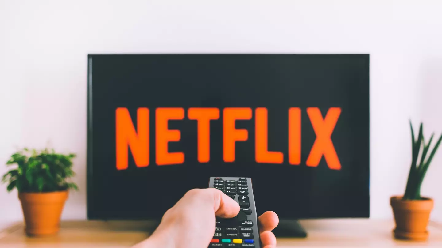 Netflix Users In A Frenzy After Spotting Brand New Feature On Streaming Platform