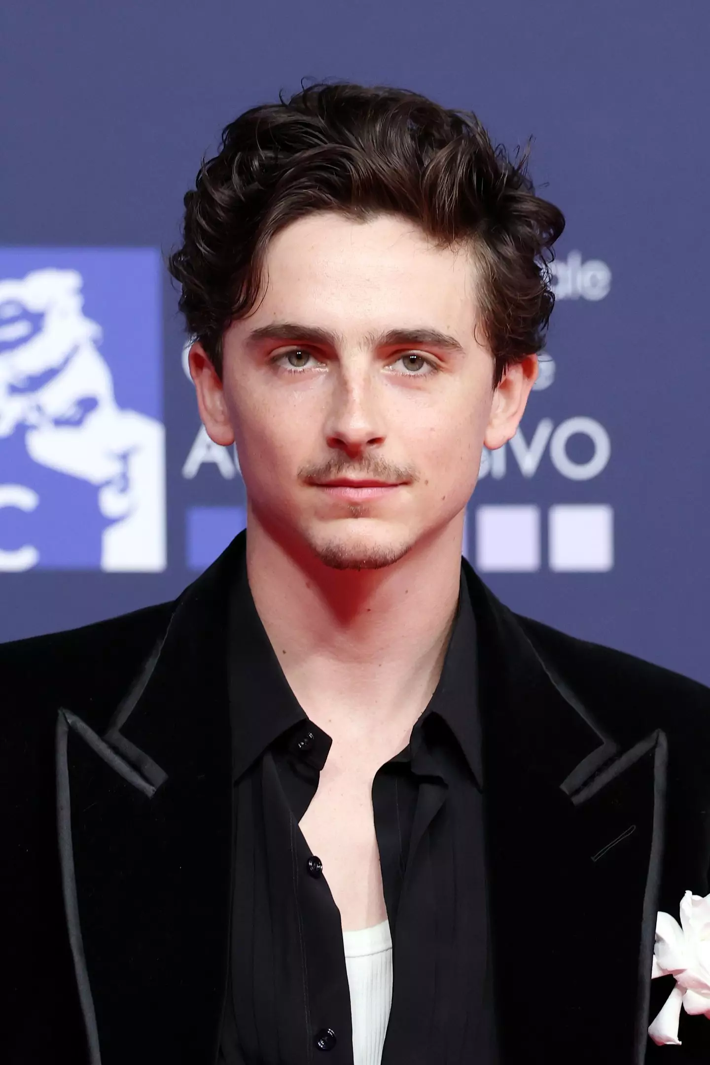People are only just realising that Timothée Chalamet has a famous Hollywood uncle (Daniele Venturelli / Contributor / via Getty)