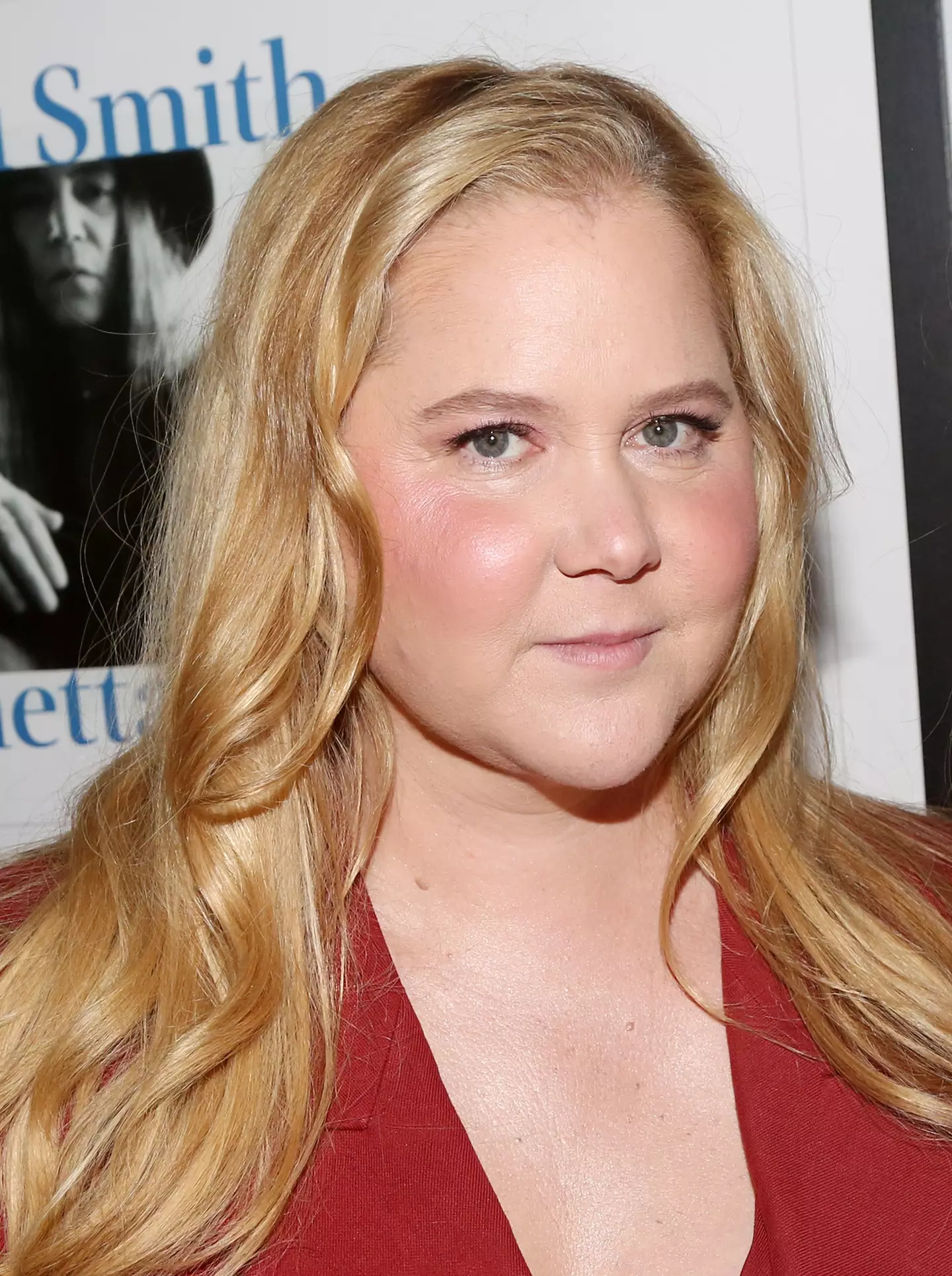 Amy Schumer is also amongst the countless stars to be diagnosed. (Bruce Glikas/Getty Images)