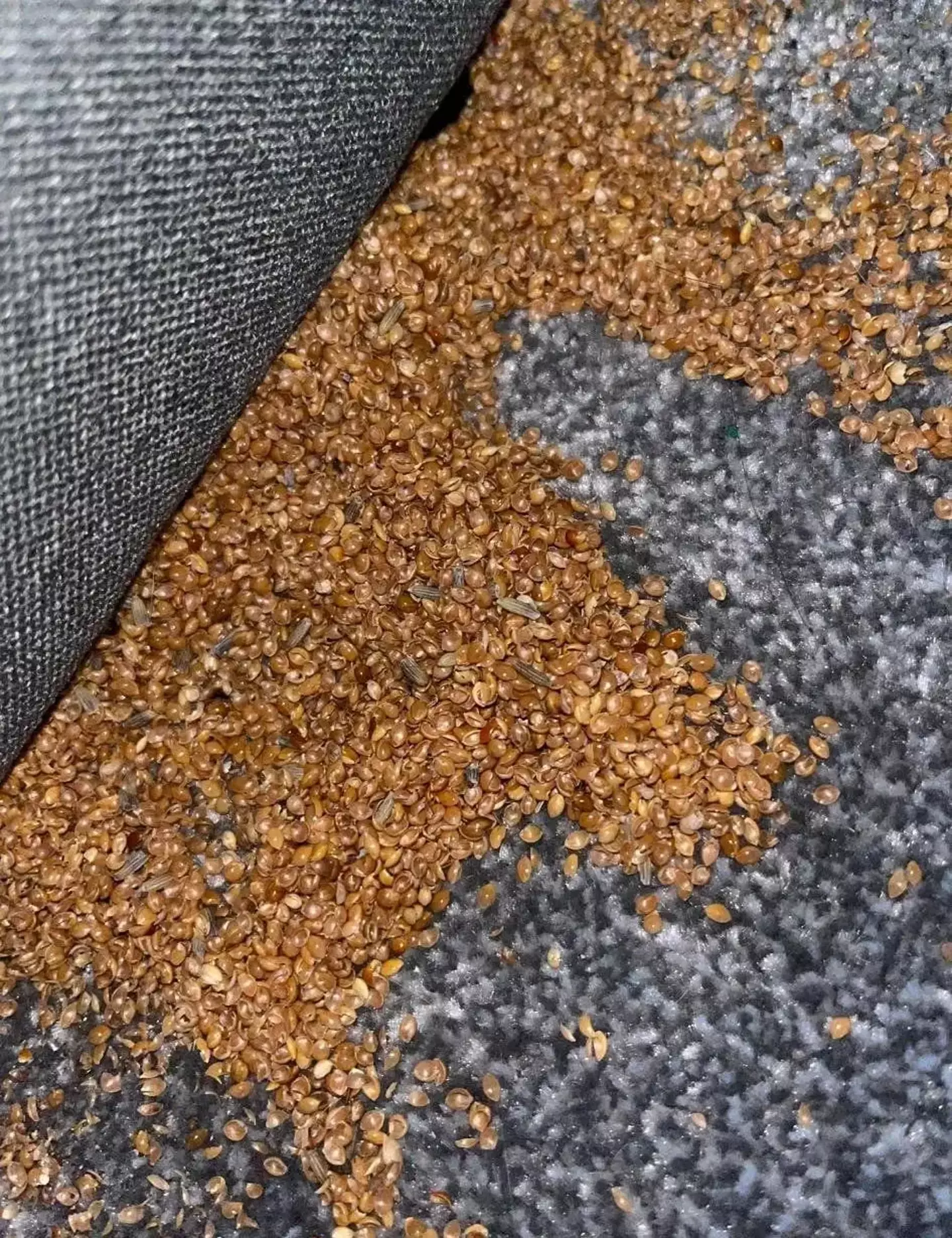 The mum asked for advice on Facebook.