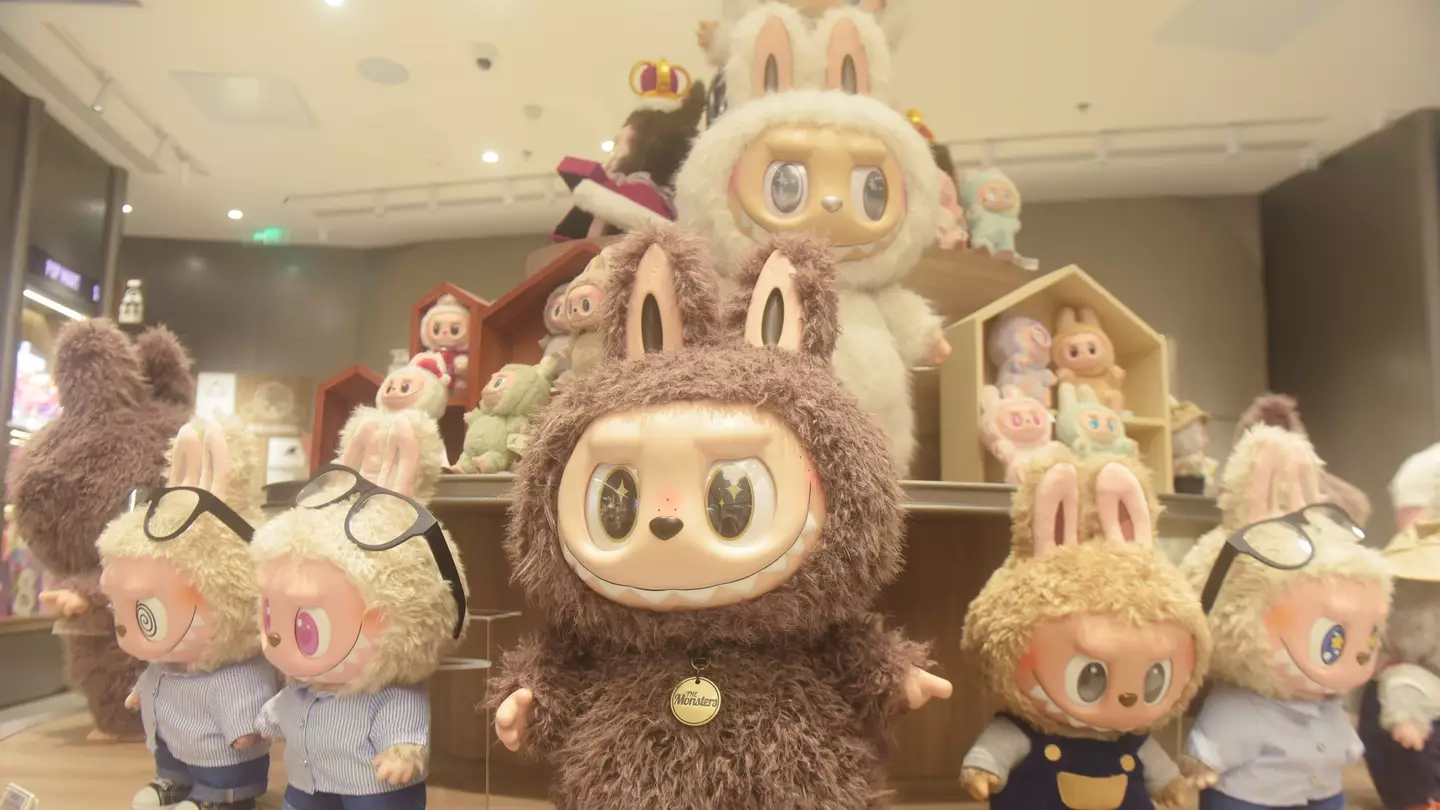 Warning issued to anyone with a fake Labubu over serious health consequences