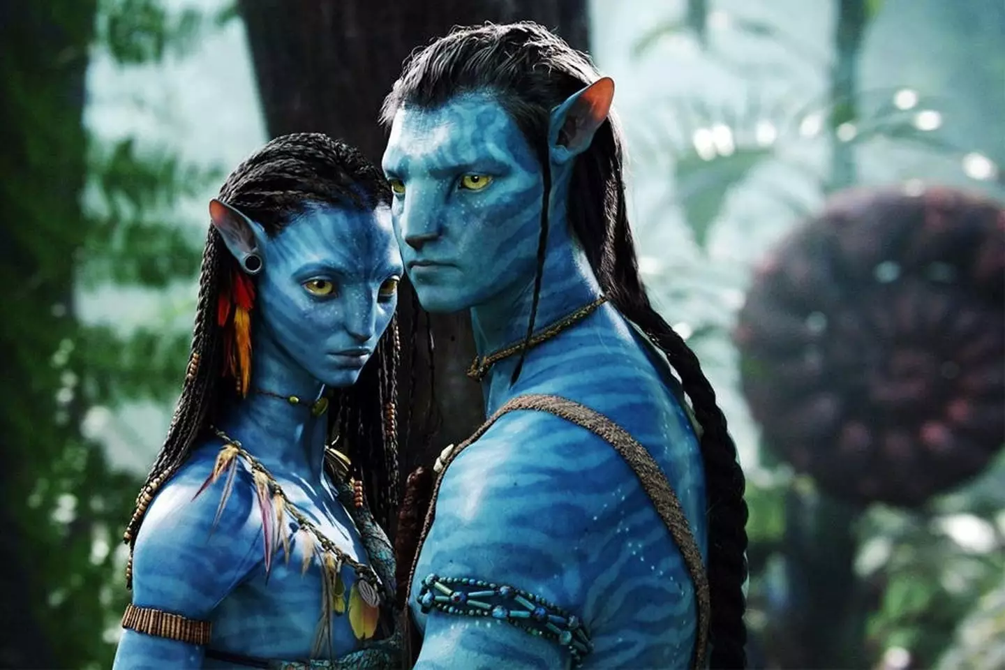 The costume was inspired by the Avatar filmi (