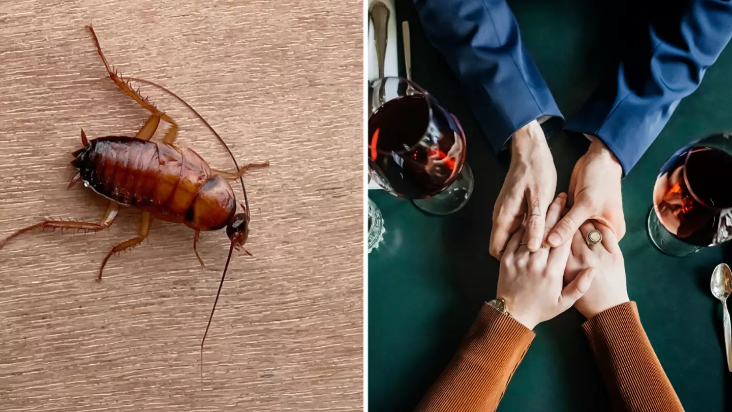 How to tell if you’re falling victim to latest dating trend ‘roaching’ as Gen Z are issued warning