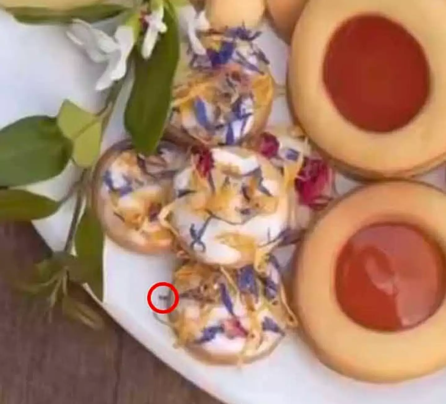 Fans defended Meghan over the online trolls' extreme reactions (Instagram/@aseverofficial)