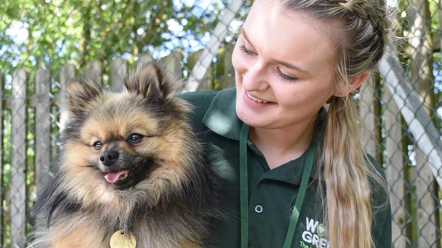 The Dog House works with a Cambridgeshire animal charity (