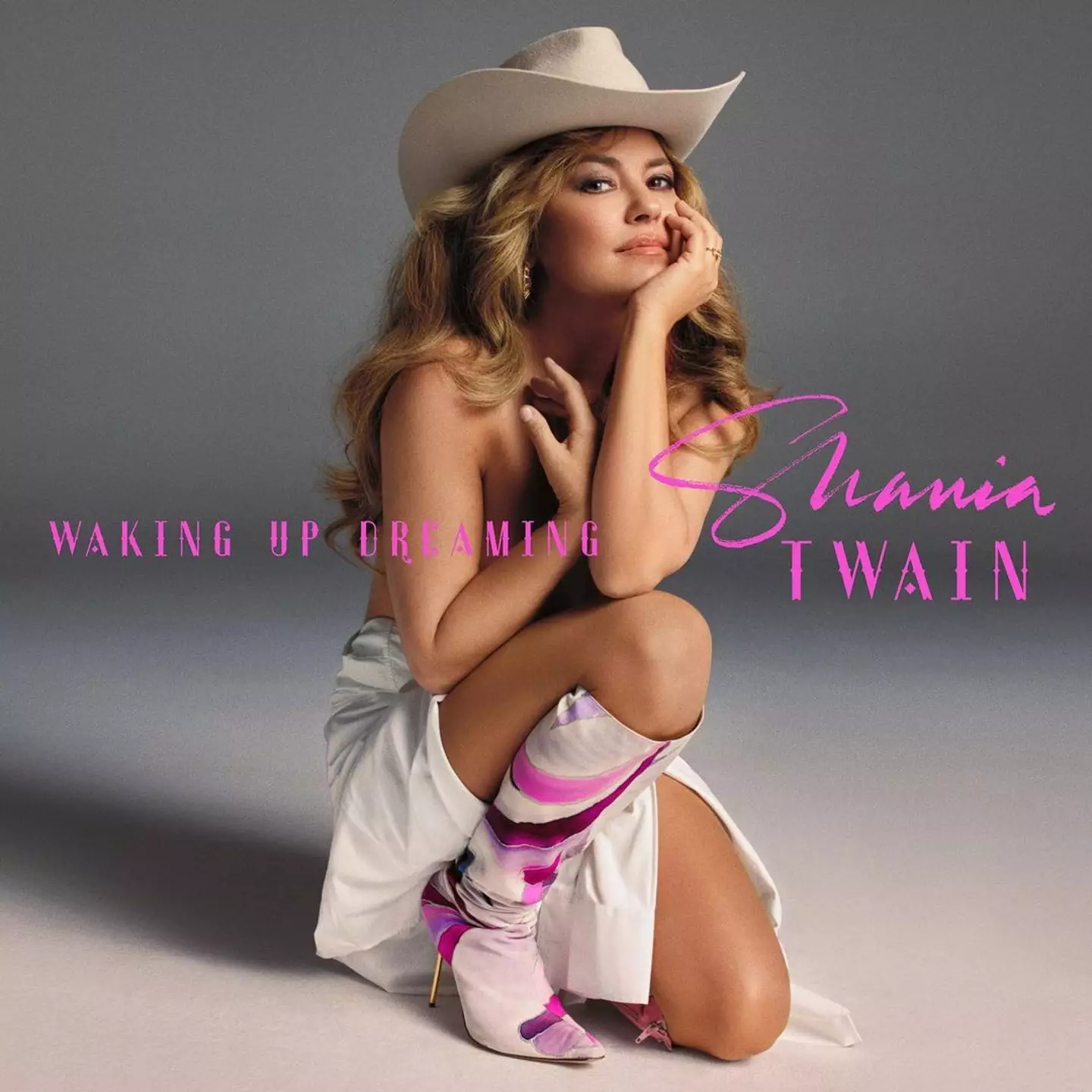 Shania Twain posed nude for the artwork for her new album.