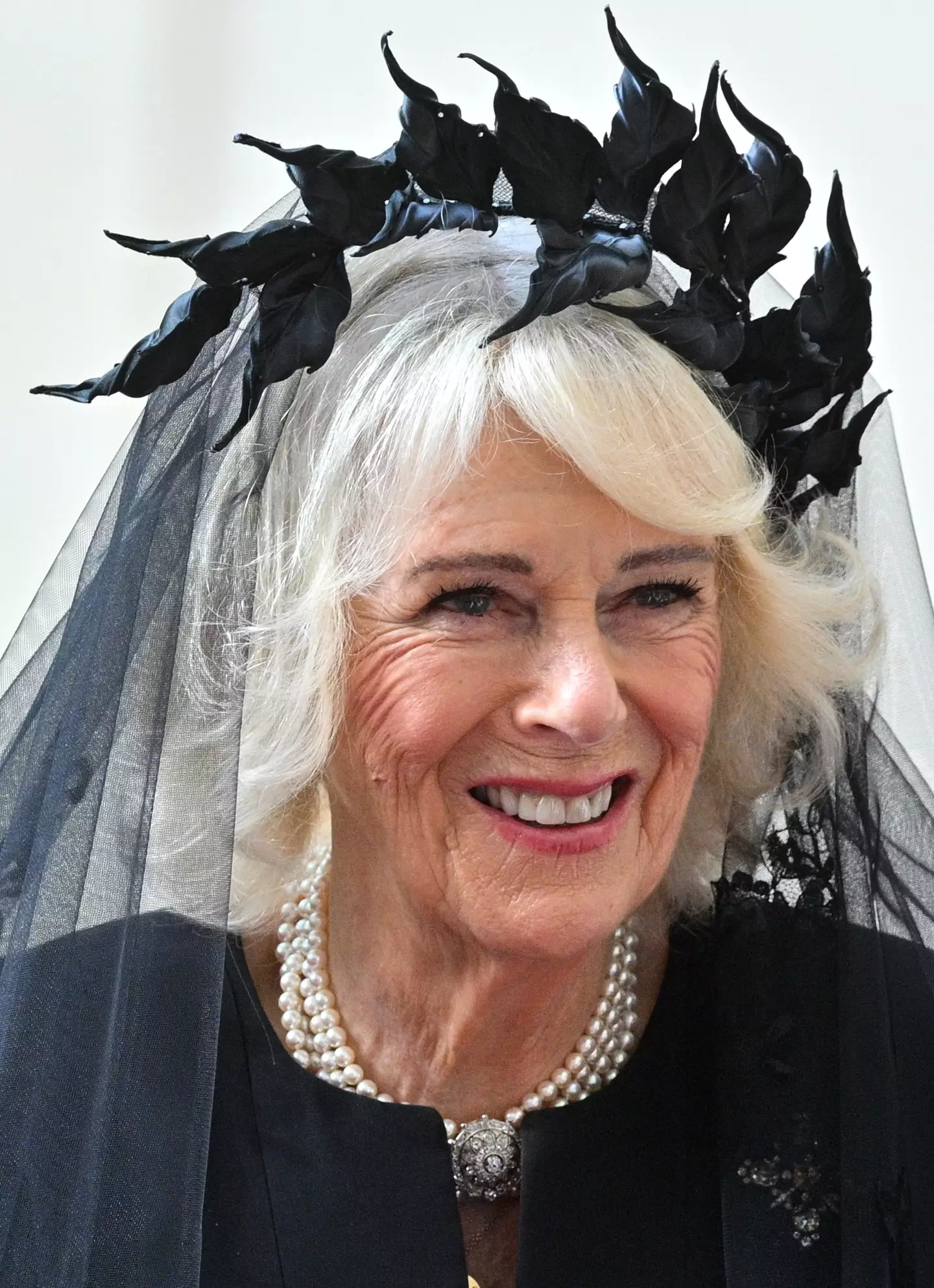 Queen Consort Camilla met with Pope Leo at the Vatican earlier today (23 October) (Samir Hussein/WireImage)