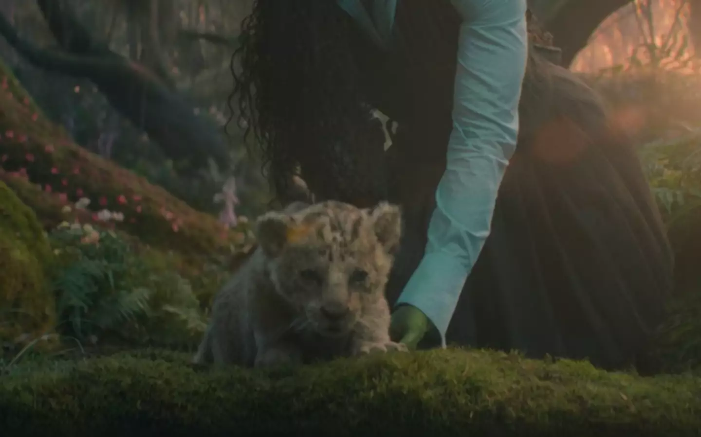 Elphaba sets the Cowardly Lion free in Wicked (Universal)