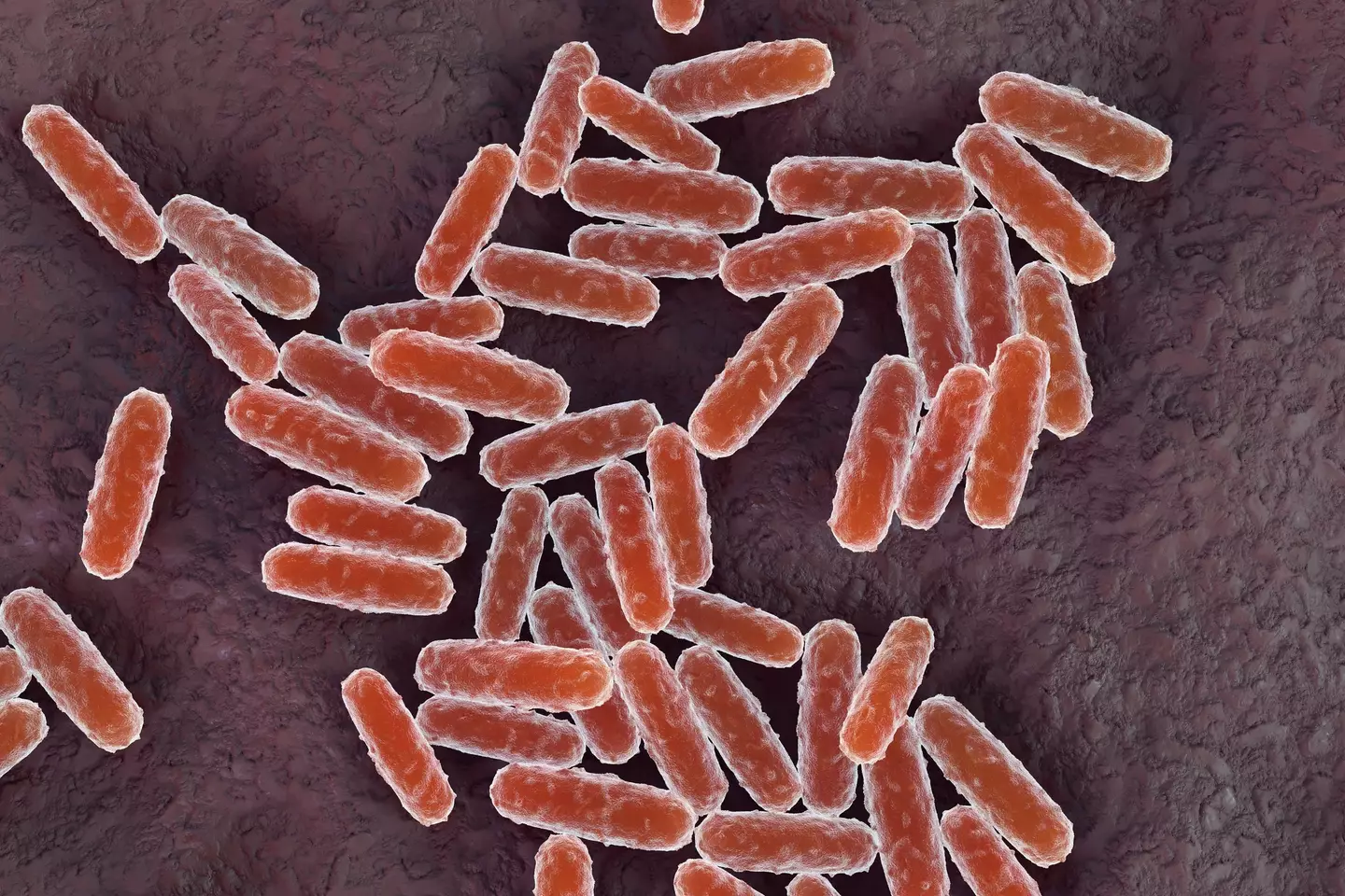 The Great Plague caused thousands of deaths across the UK. (Getty stock images)