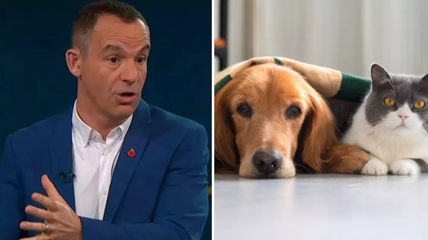 Martin Lewis issues urgent warning to pet owners after new law introduced which could result in huge fine