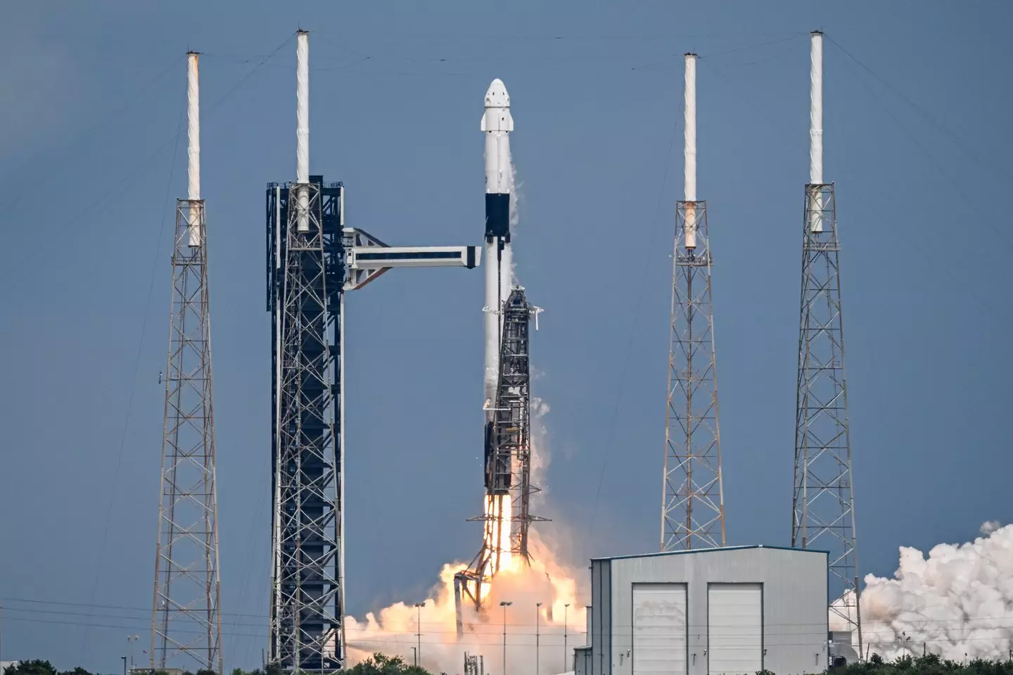 SpaceX have been forced to delay several rescue missions (Miguel J. Rodriguez Carrillo/Getty Images)