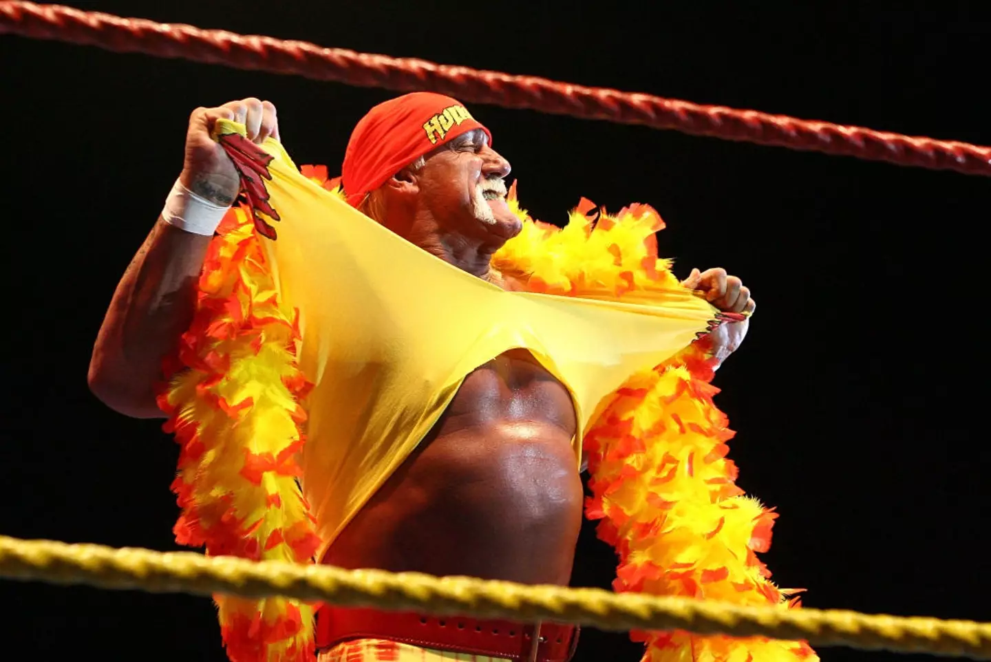 The news broke on Thursday (24 July) that WWE star, Hulk Hogan, had passed away (Paul Kane / Stringer / Getty Images)