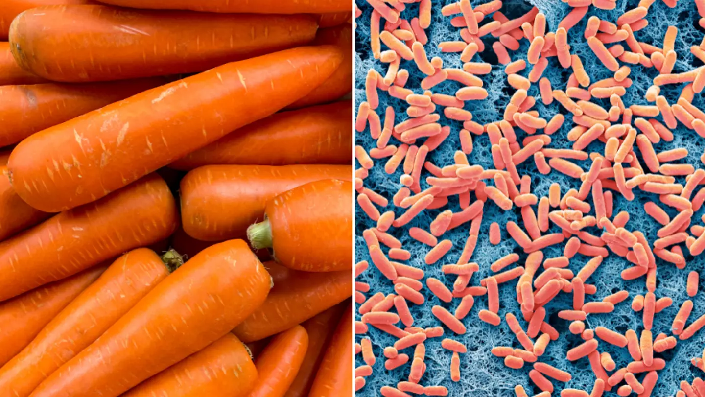 Urgent warning issued as E. coli outbreak linked to carrots leaves one dead and 15 hospitalised