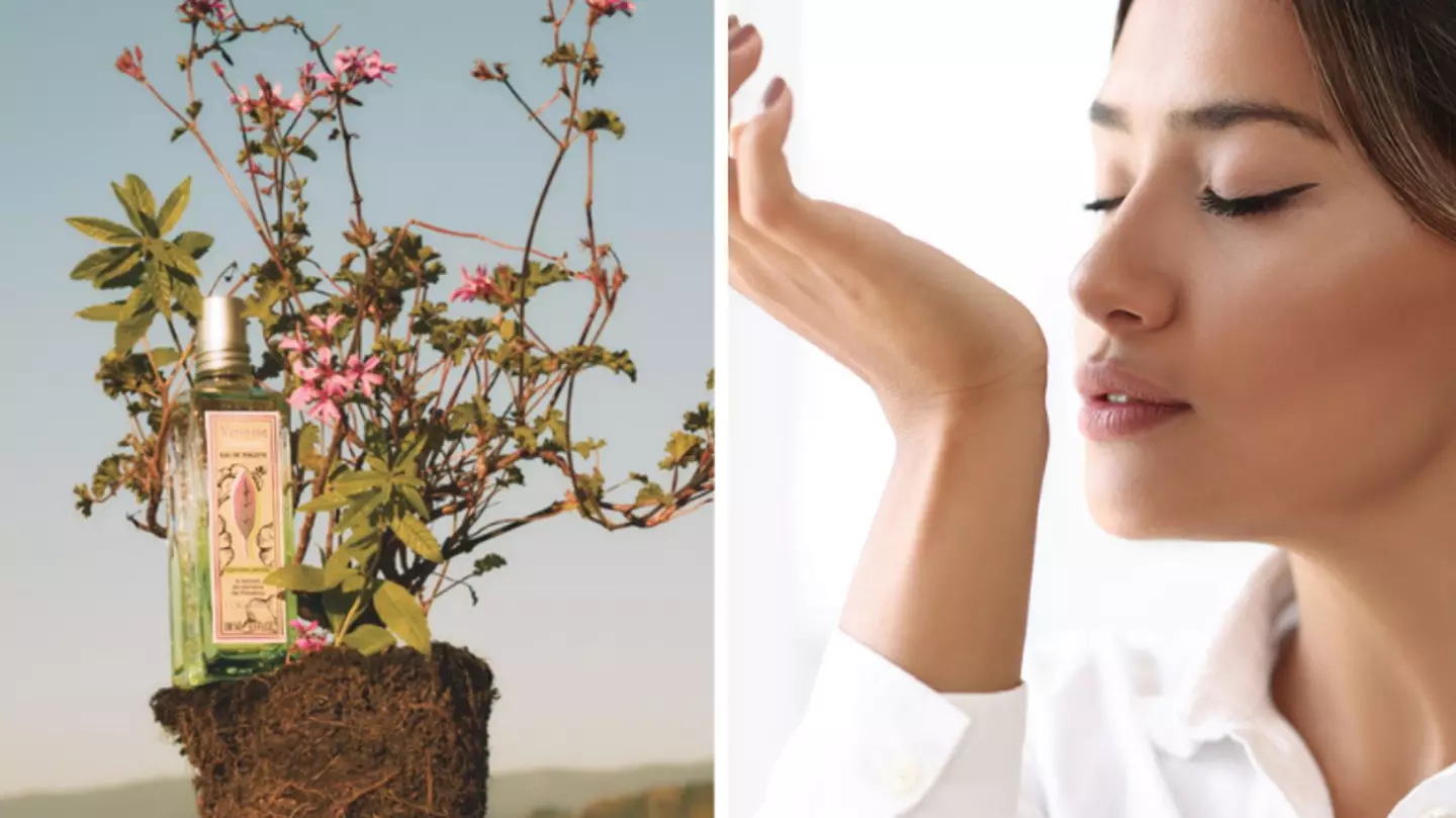 Women are hailing ‘perfect’ perfume as the ‘scent of the summer’