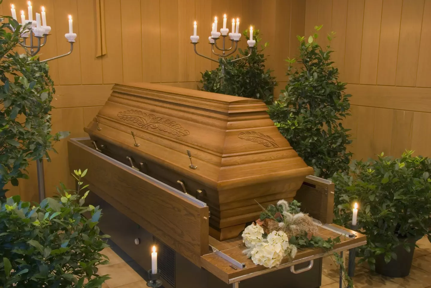 Bella had been in her coffin at her wake when she woke up.