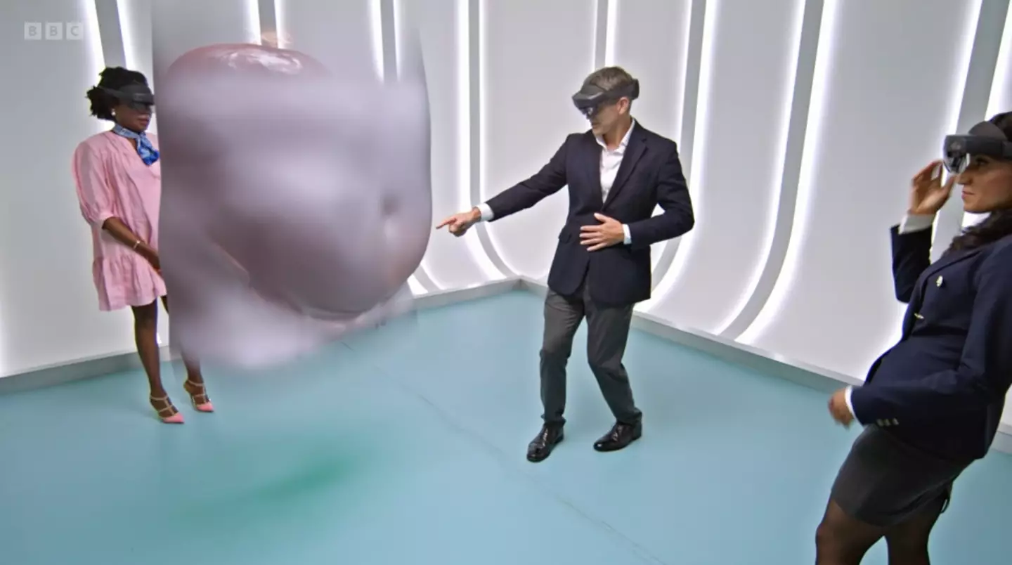 The consultants used 3D augmented reality to show Hilda her fibroids. (