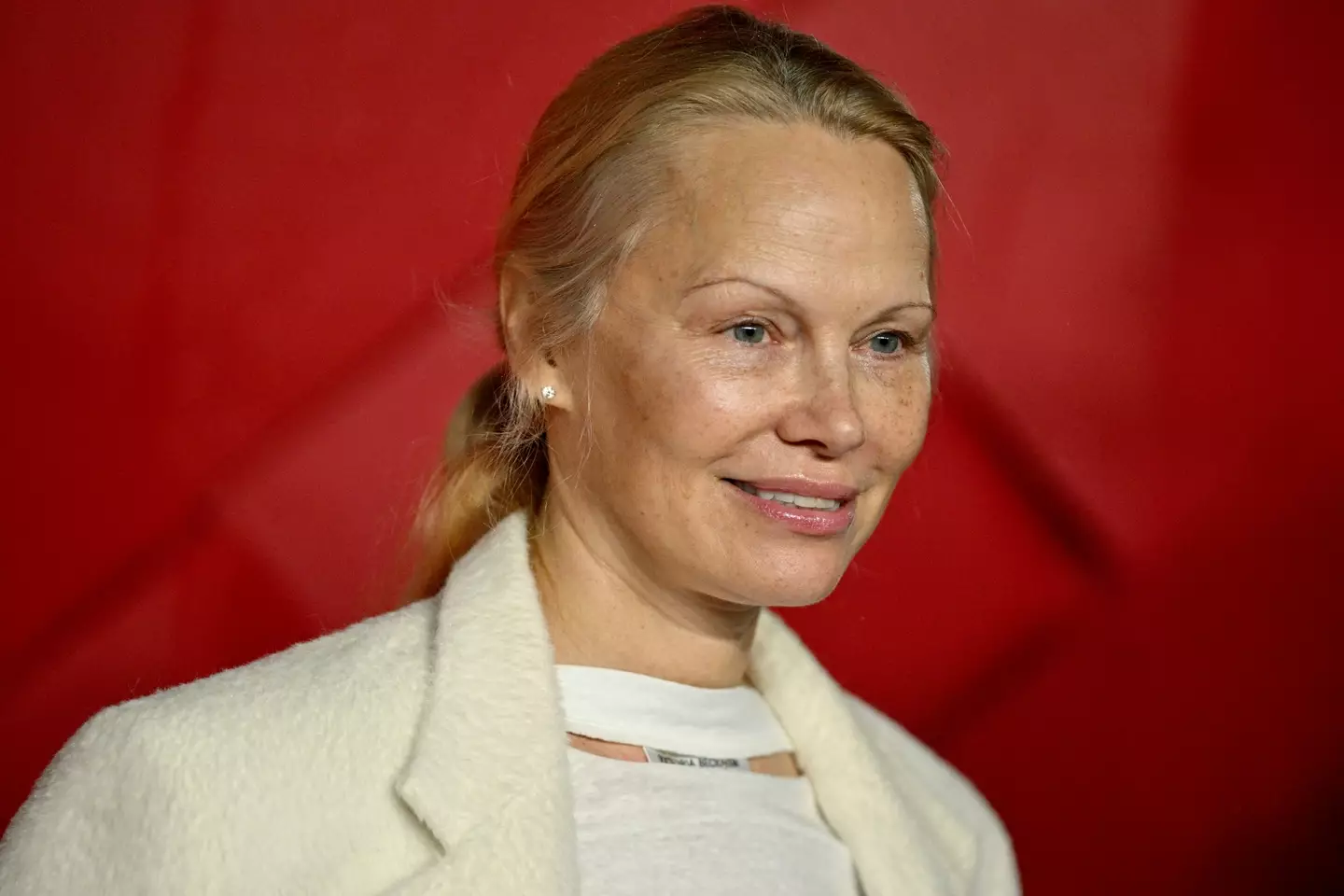 Pamela Anderson stepped out at the 2023 Fashion Awards au naturel.