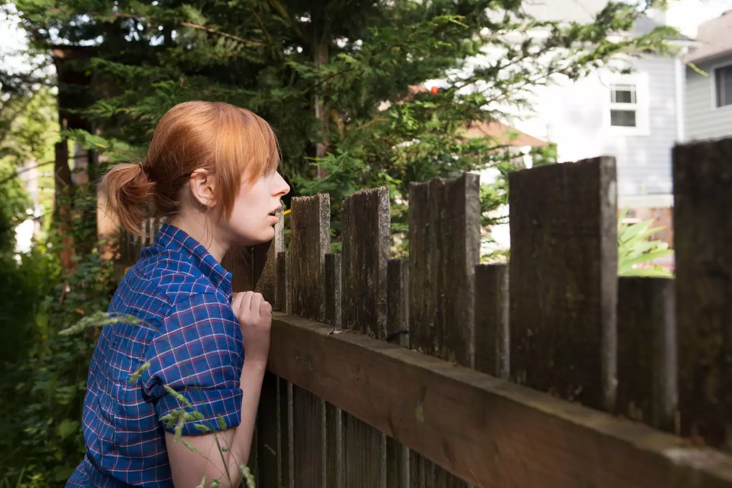 Shannon is legally required to pay for the fence (stock image).