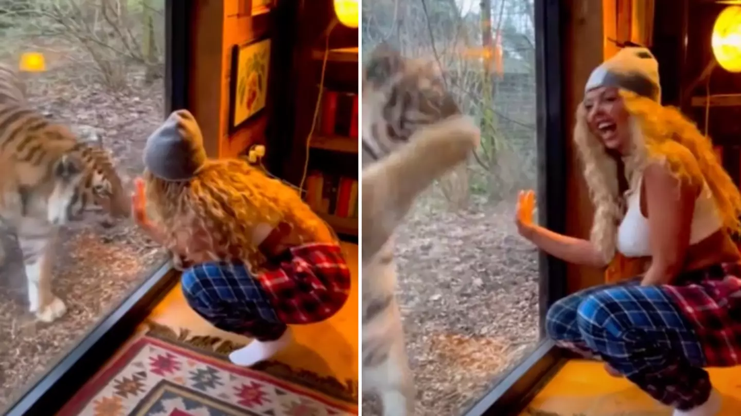 jesynelson/Instagram