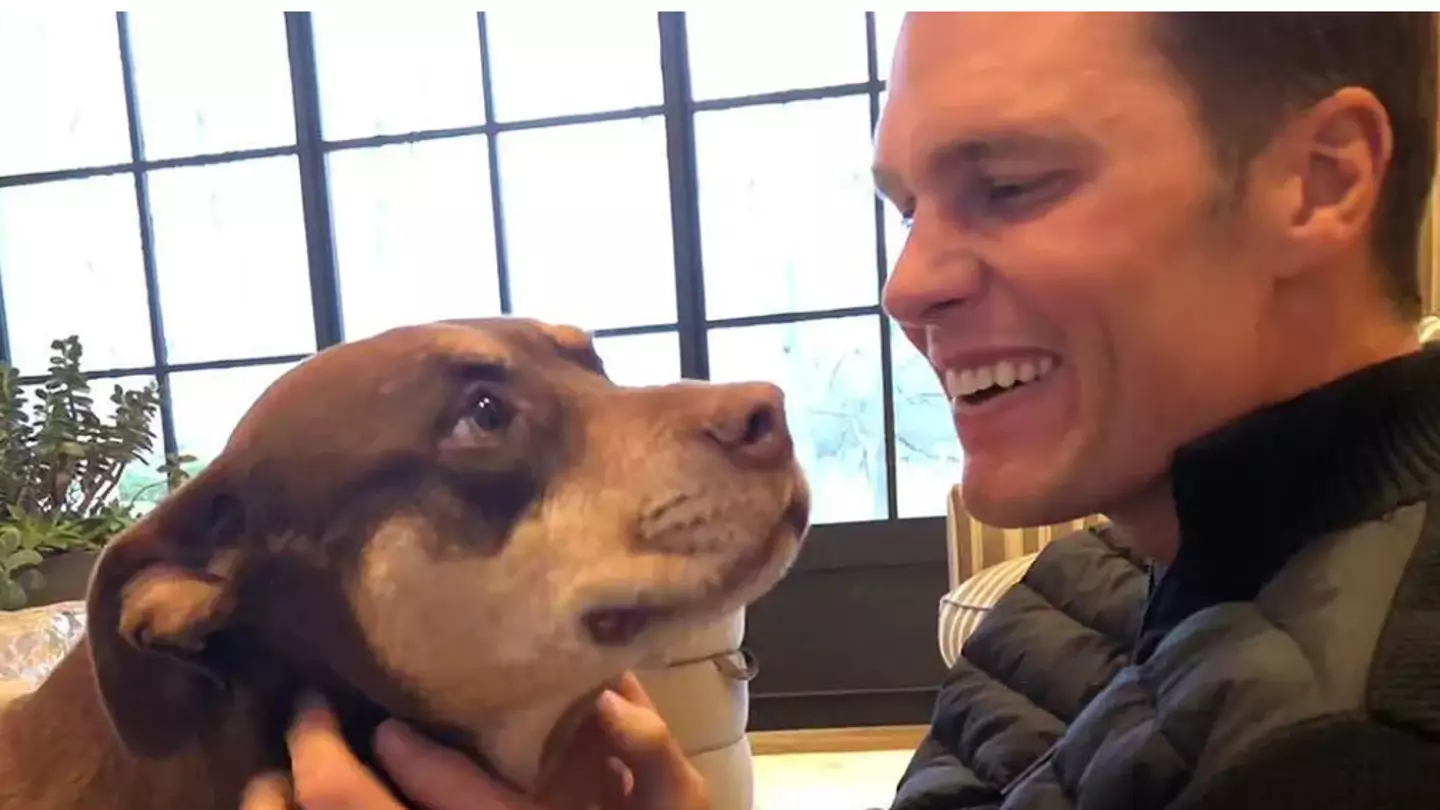 Tom Brady leaves people divided after revealing he cloned his beloved dog in controversial admission
