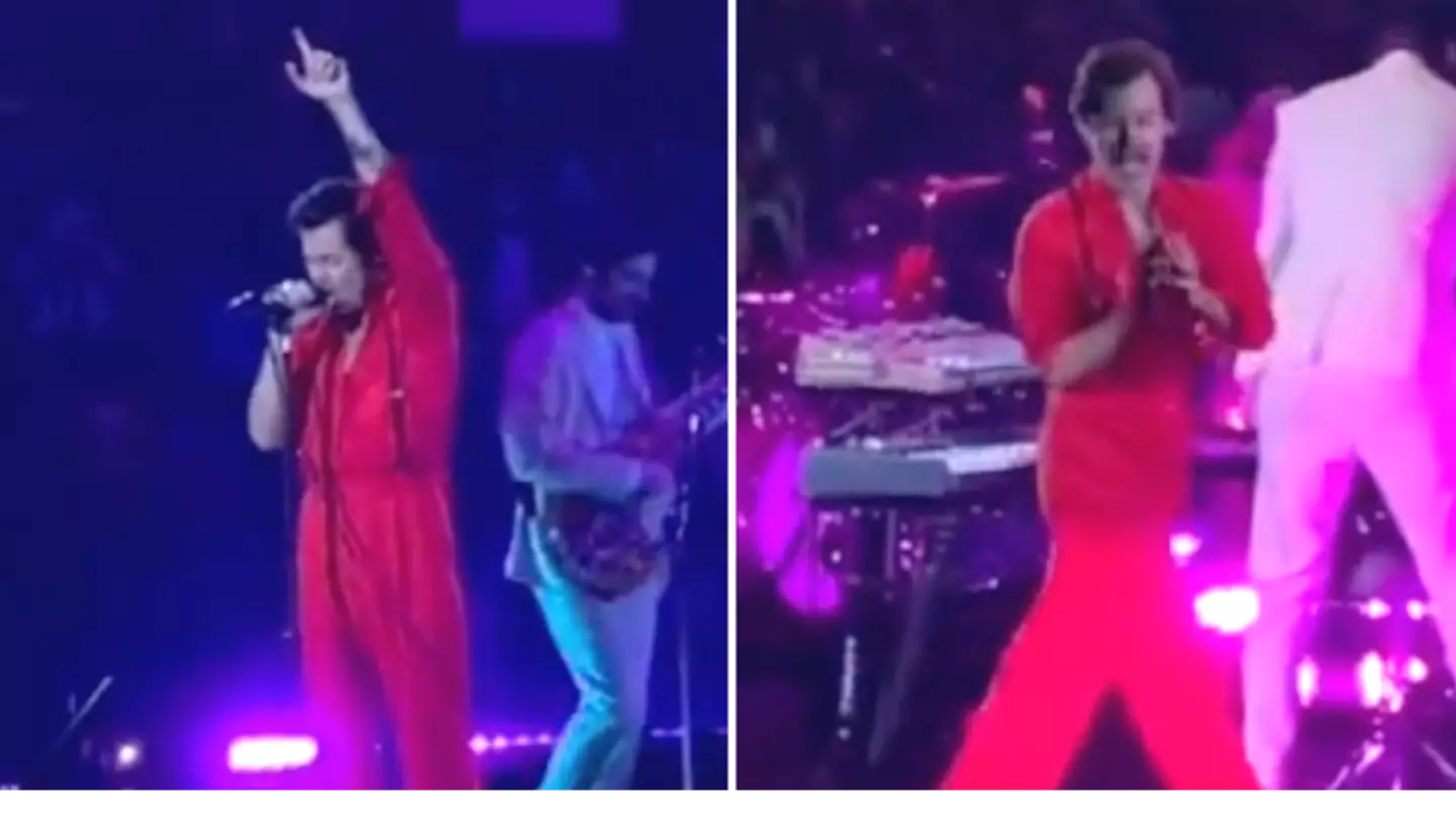 Harry Styles Sends Signal To Misbehaving Crowd Without Interrupting His Song