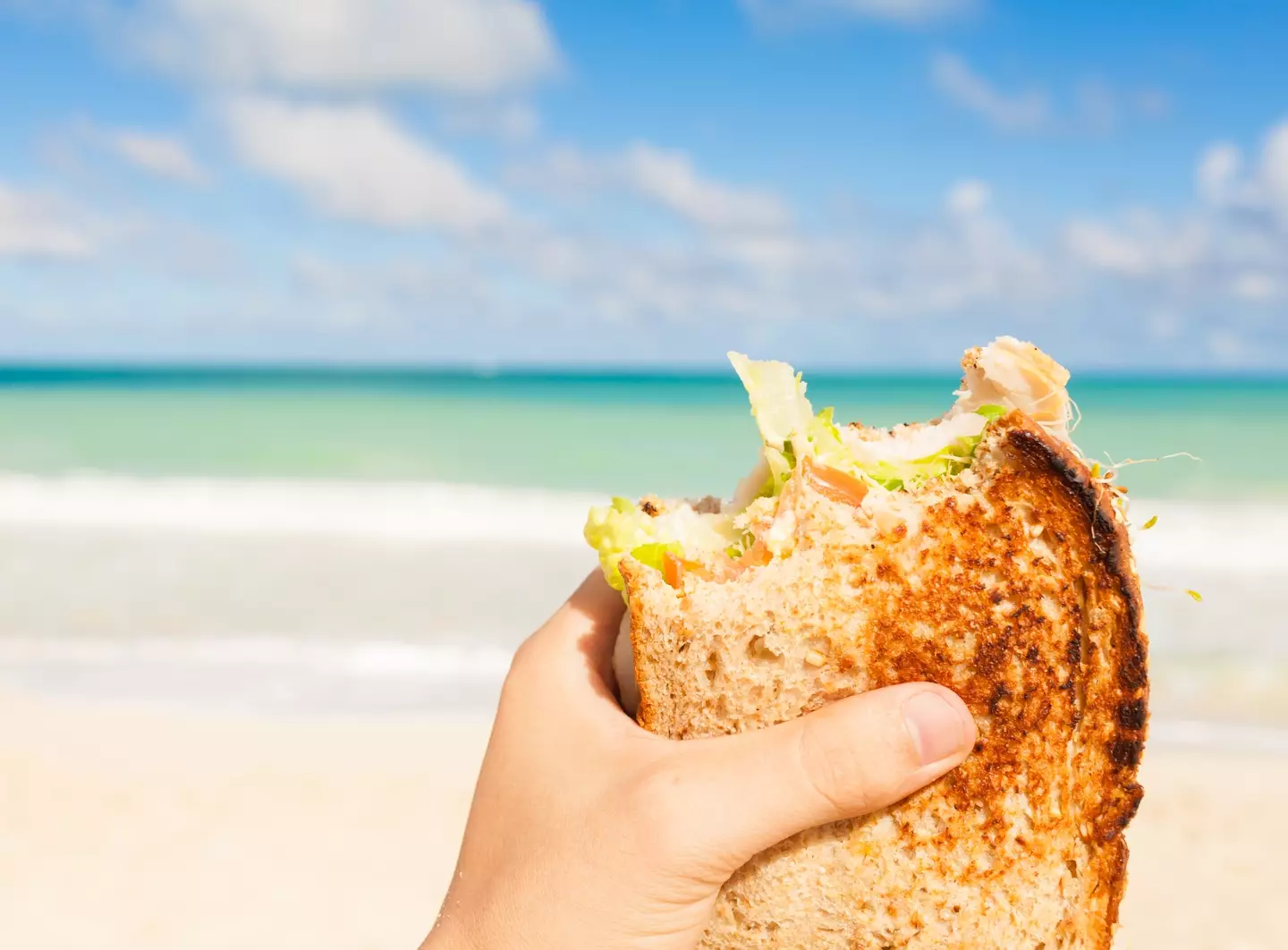 Should you really wait 30 minutes before swimming after having a meal? (kieferpix/Getty Images)