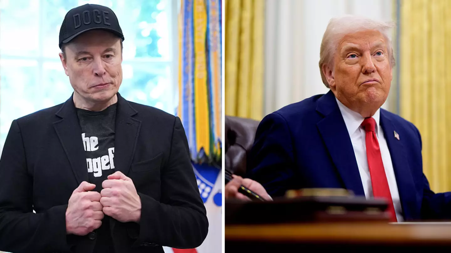 What will happen next for Elon Musk and Donald Trump after their huge argument online