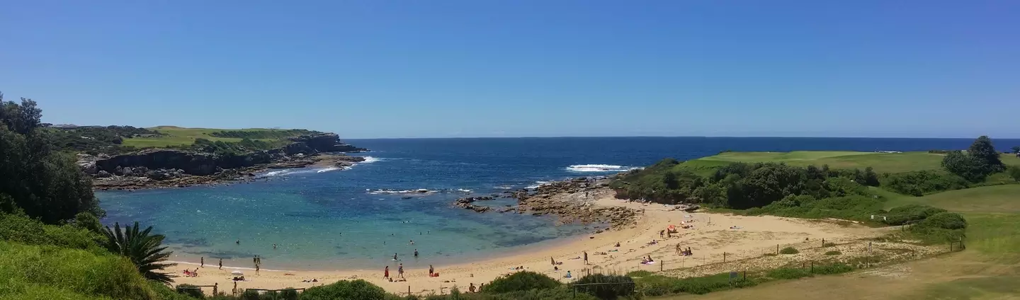 The beaches were closed after news of the fatal attack (