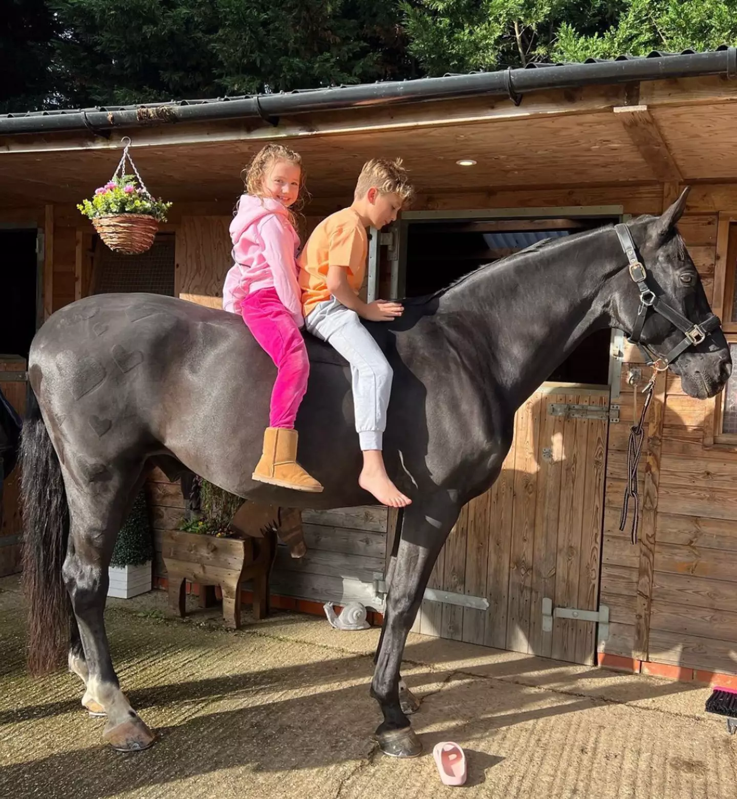 Katie Price has been criticised for picturing her two children - Bunny and Jett - sitting on a stationary horse without protective helmets.