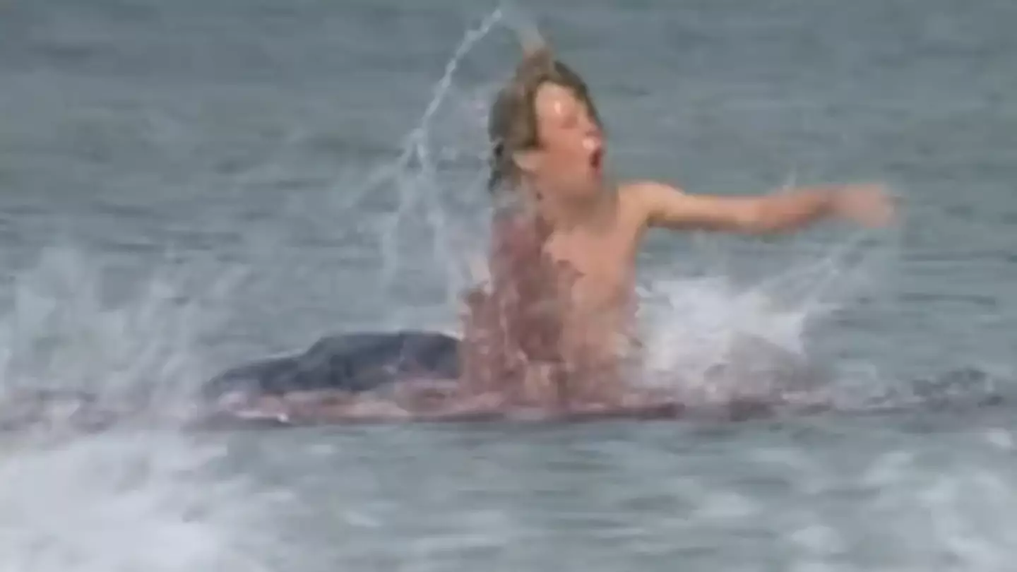 Jaws child star still makes eye-watering amount of money from film despite hardly being in it