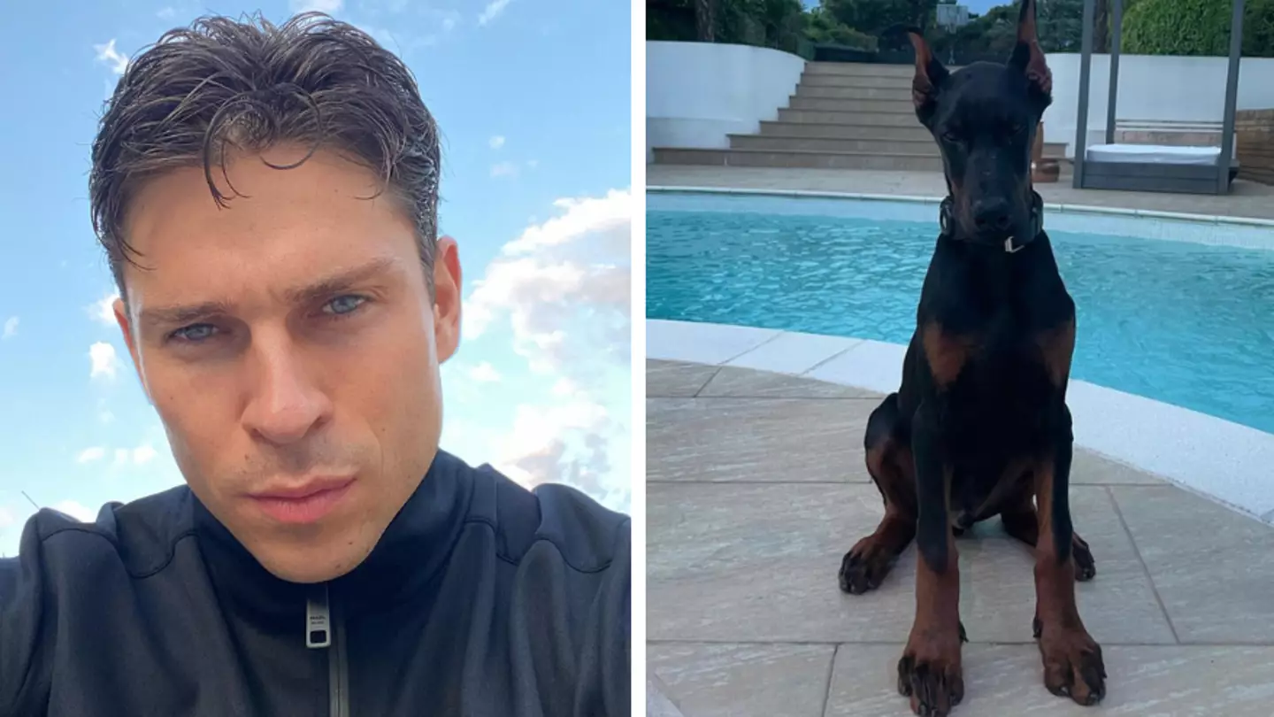 Joey Essex returns his puppy after being called out for 'cruel' ear cropping