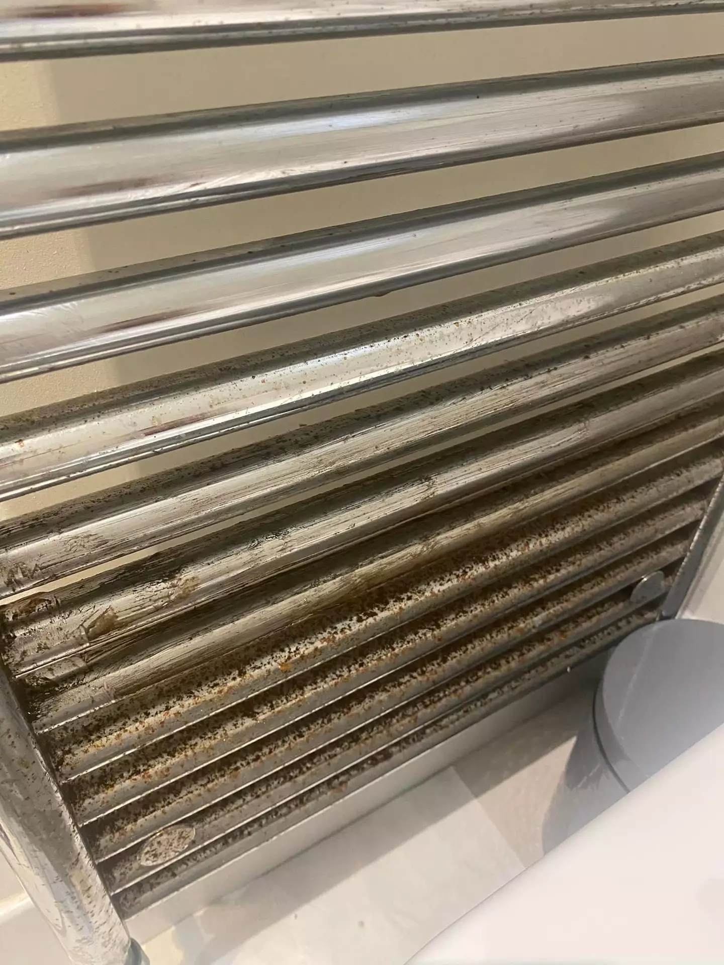 One woman shared an 'incredible' hack to get your rusty radiators sparkling clean in no time.