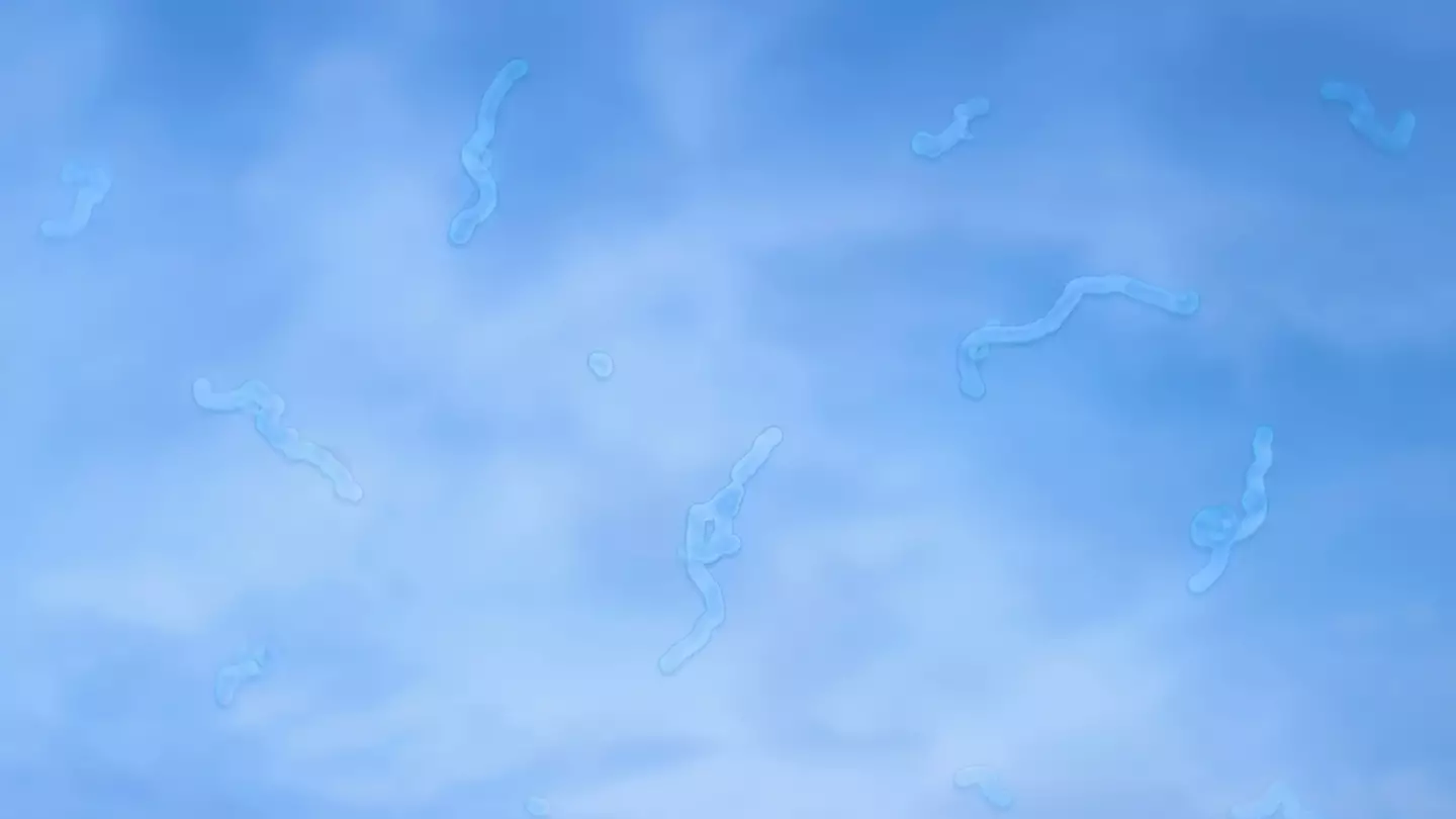 Eye doctor revealed what to do if you start seeing ‘floaters’