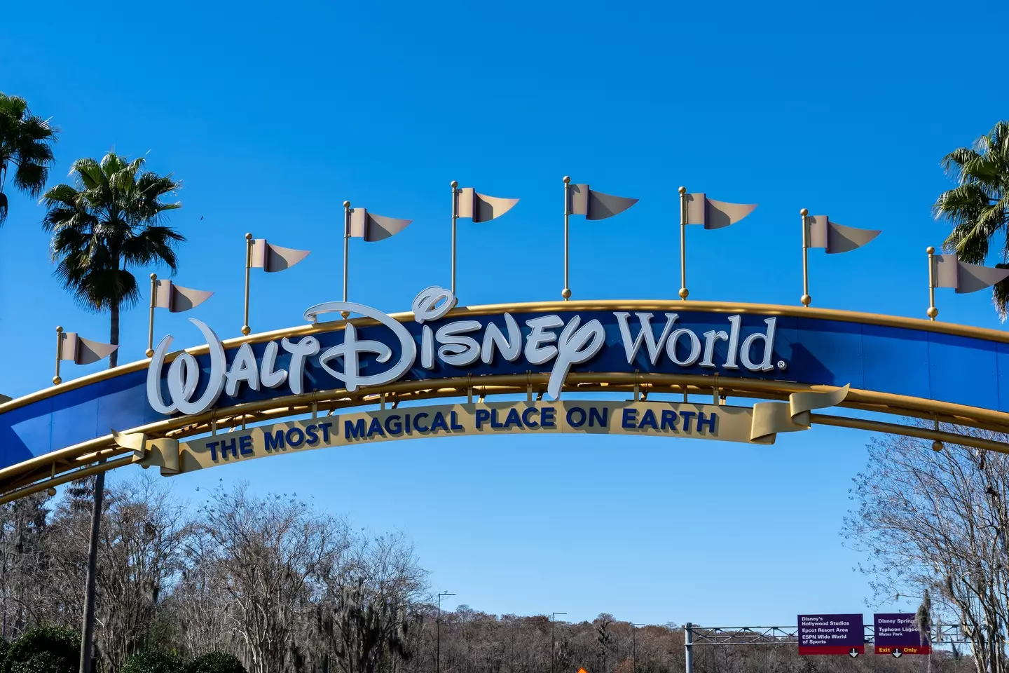 Walt Disney World is yet to publicly respond to the lawsuit (JHVEPhoto/Getty Images)