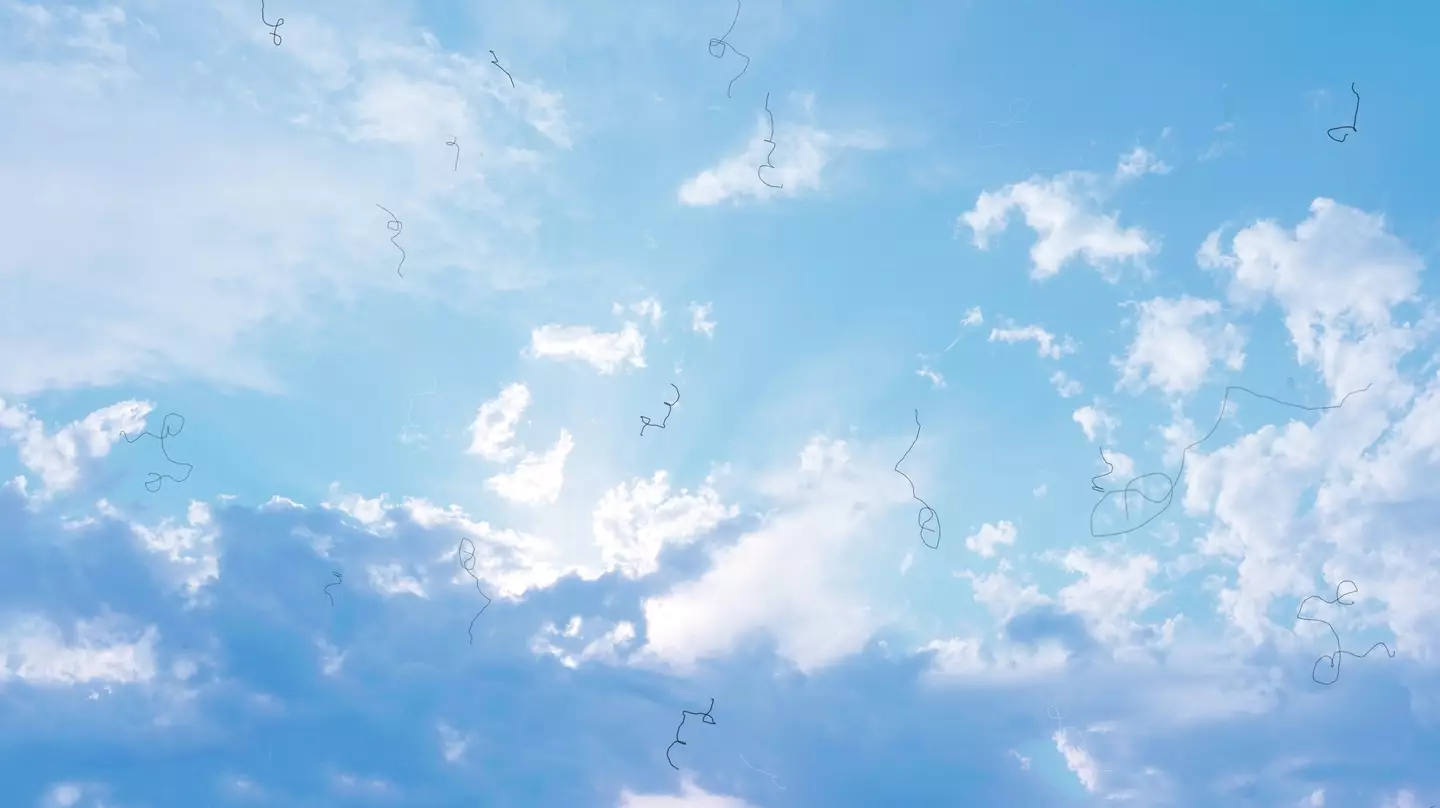 'Floaters' in your eyes are usually stronger when you look at a blue sky or white paper (Getty Stock Image)