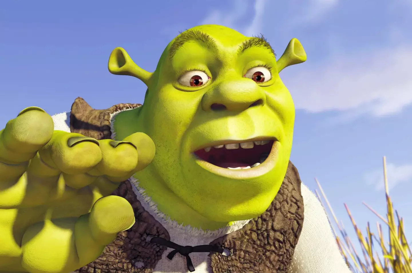 Shrek X Crocs is the ultimate crossover.