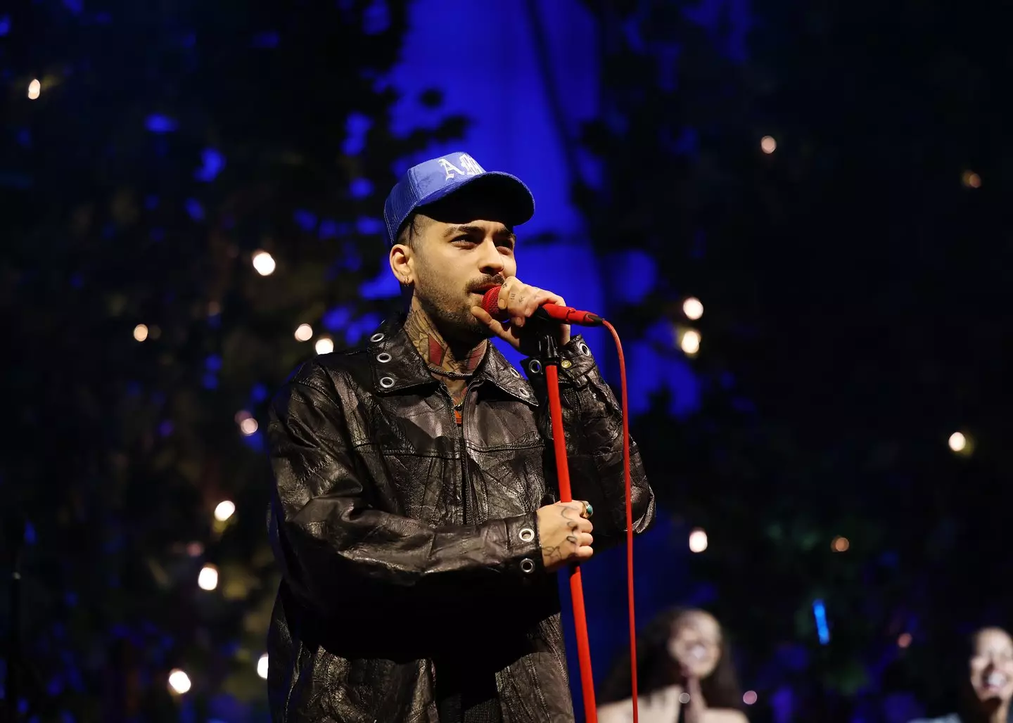 Malik's comments were made in the midst of his own performance (Kevin Mazur/Getty Images for Zayn)