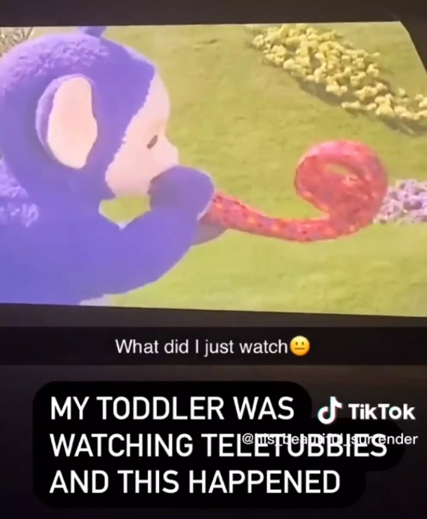 The Teletubbies have been baffling parents for decades.