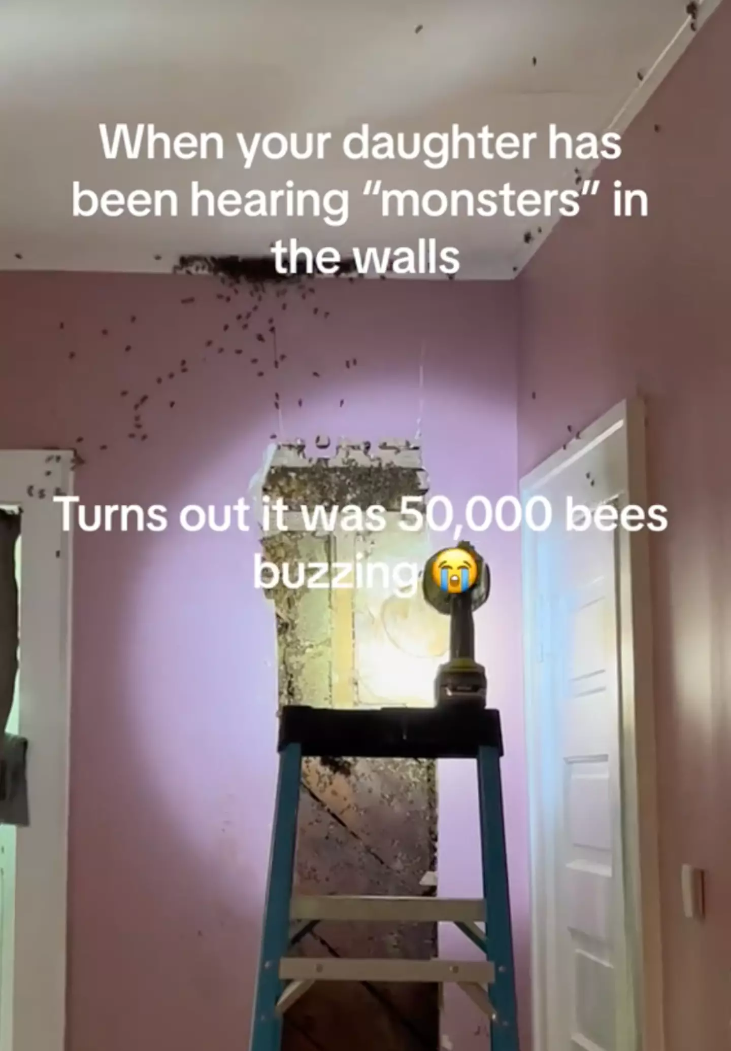 The woman shared her terrifying discovery on TikTok. (TikTok/@classyashley)