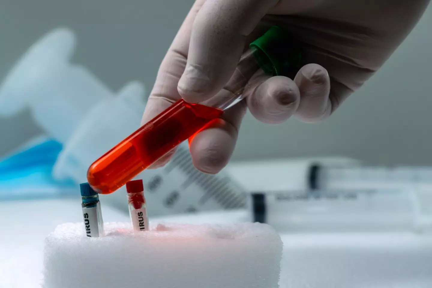 Both Ginkgo biloba and high-dose fish oil are known to thin blood (Getty Stock Image)