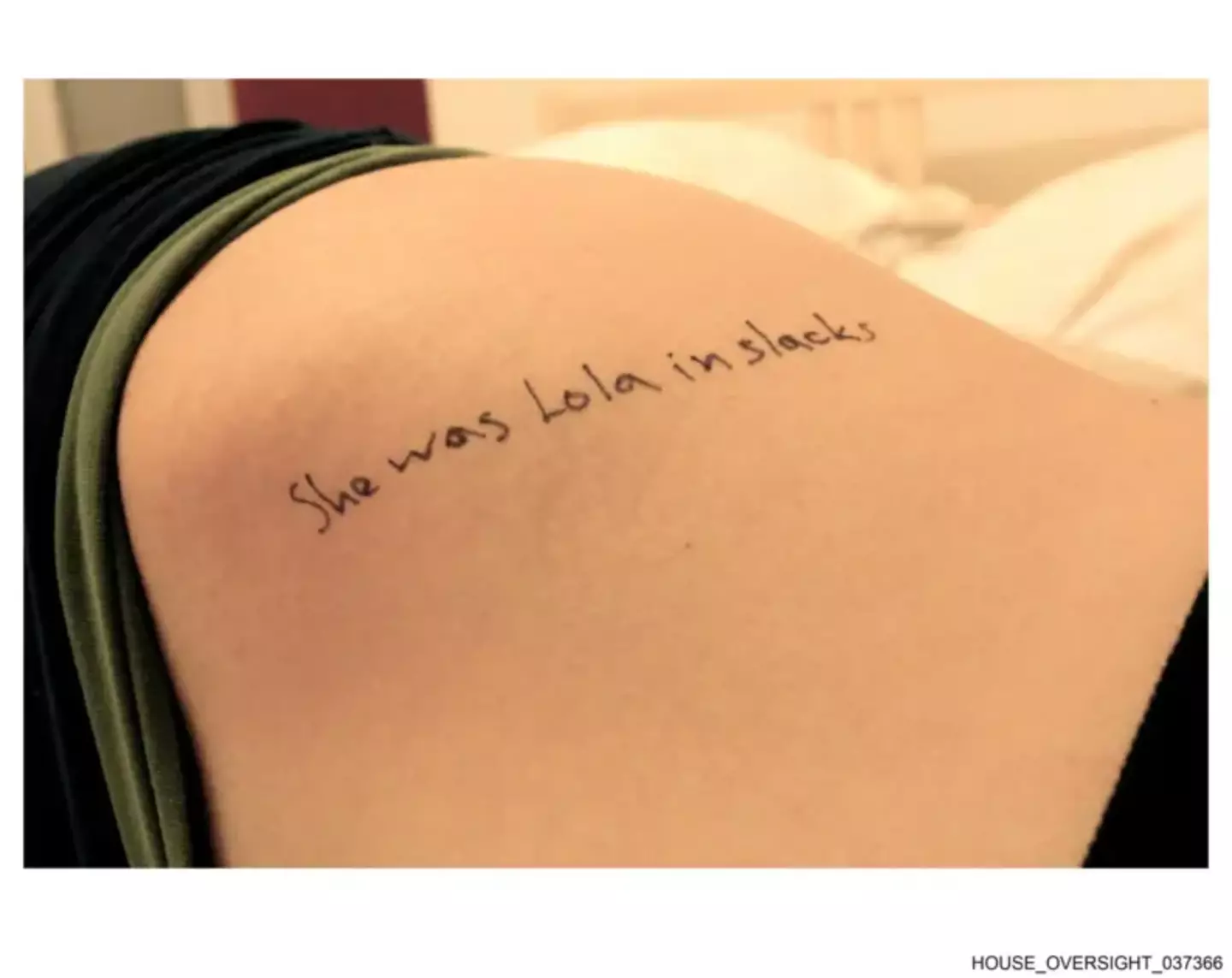 (House Oversight Committee)