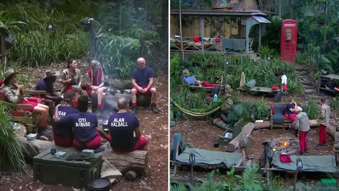 I'm A Celebrity is actually filmed in 'fake' jungle with roof over it