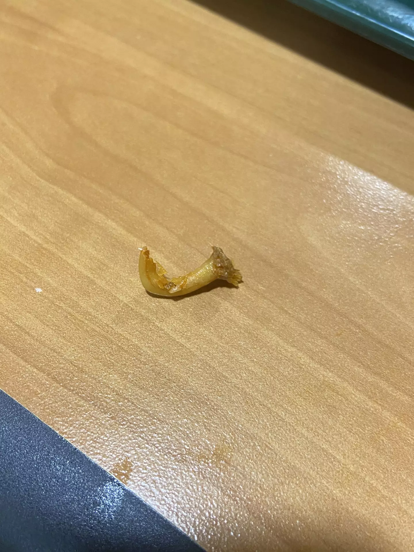 Lauren found what appears to be a chicken claw (