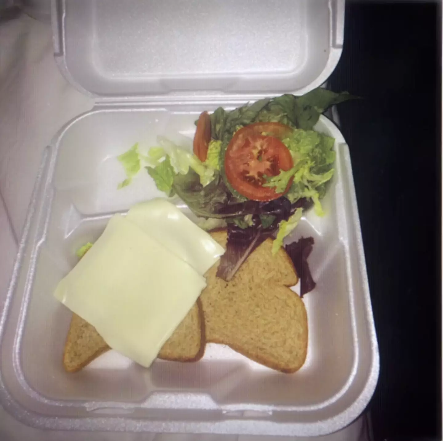 Who could forget the food they served at the first Fyre Festival? (Netflix)