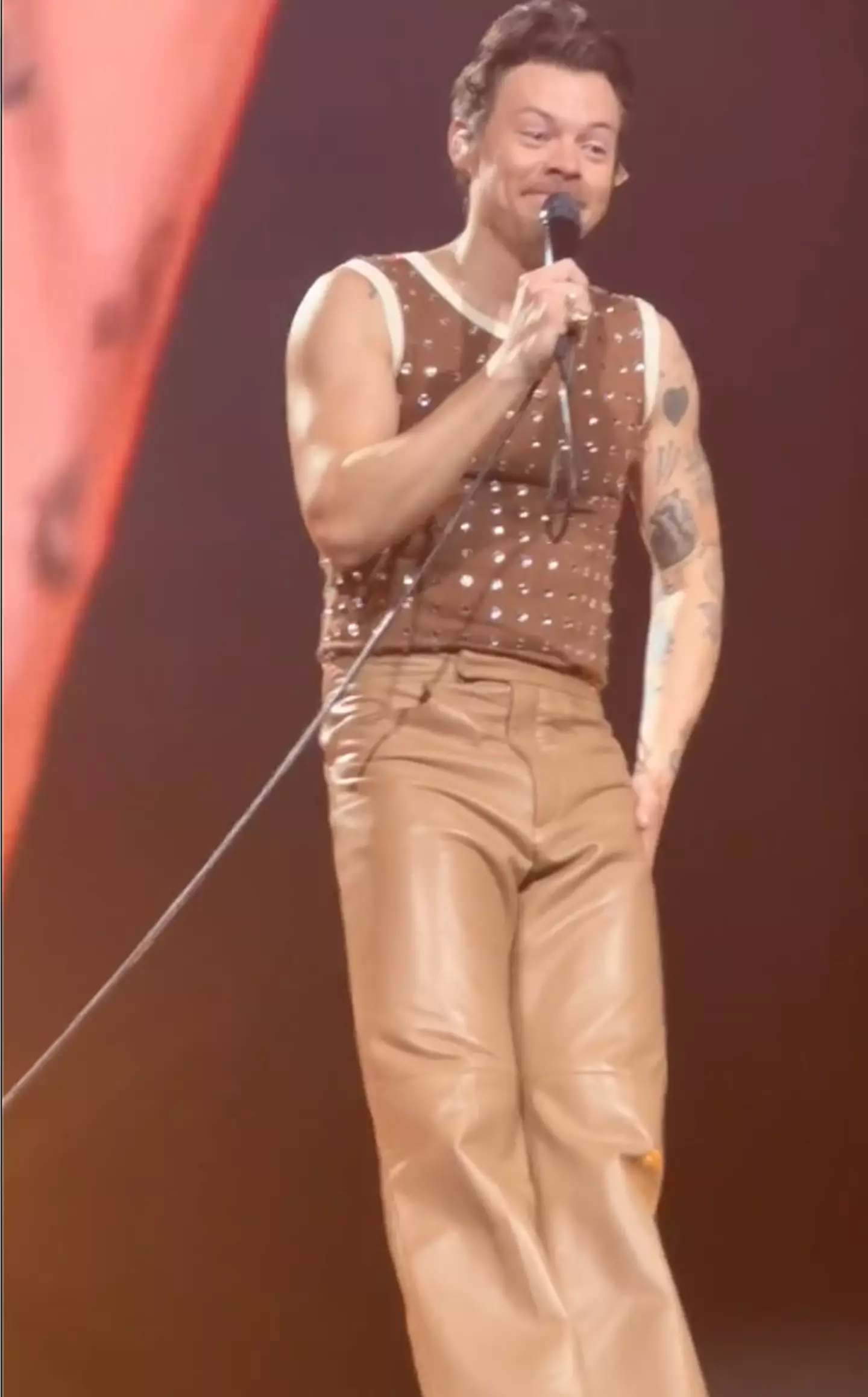 Harry insisted Sian went for a wee while he 'stalled'. Credit:TikTok/@daydreaminginc