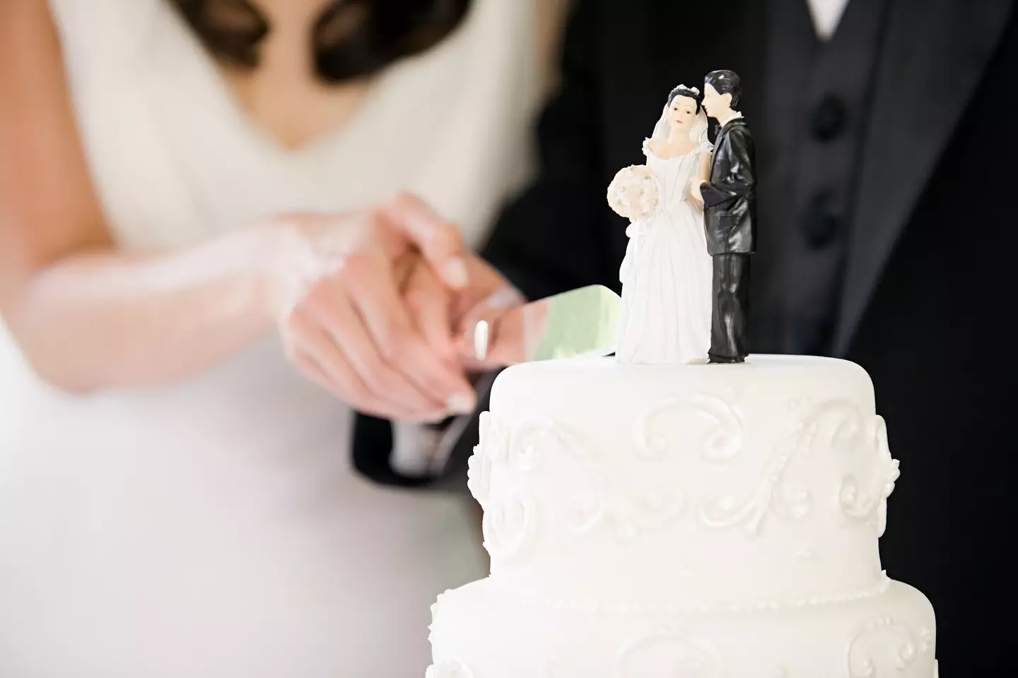 He smashed her face into the cake and destroyed it. (Image Source / Getty Images)
