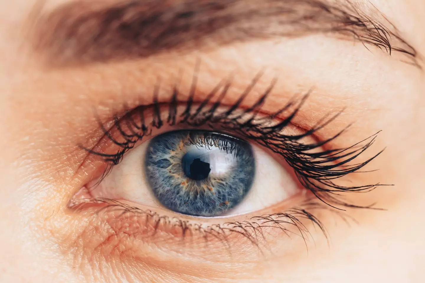 Taking supplements and eating a well-balanced diet can improve your overall eye health (Getty Stock Image)