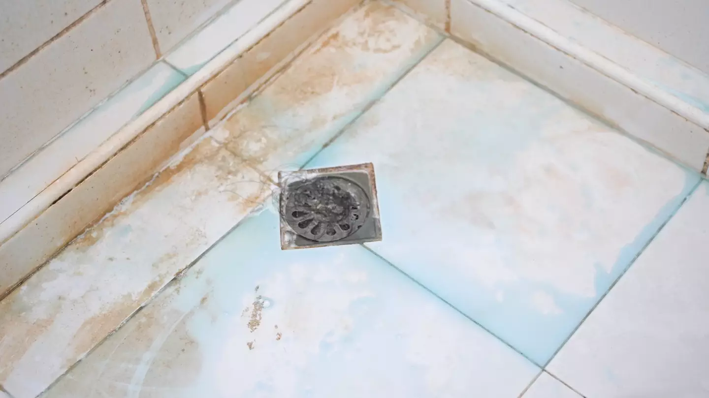 Doctor has warning for anyone who notices ‘pink slime’ in their bathroom