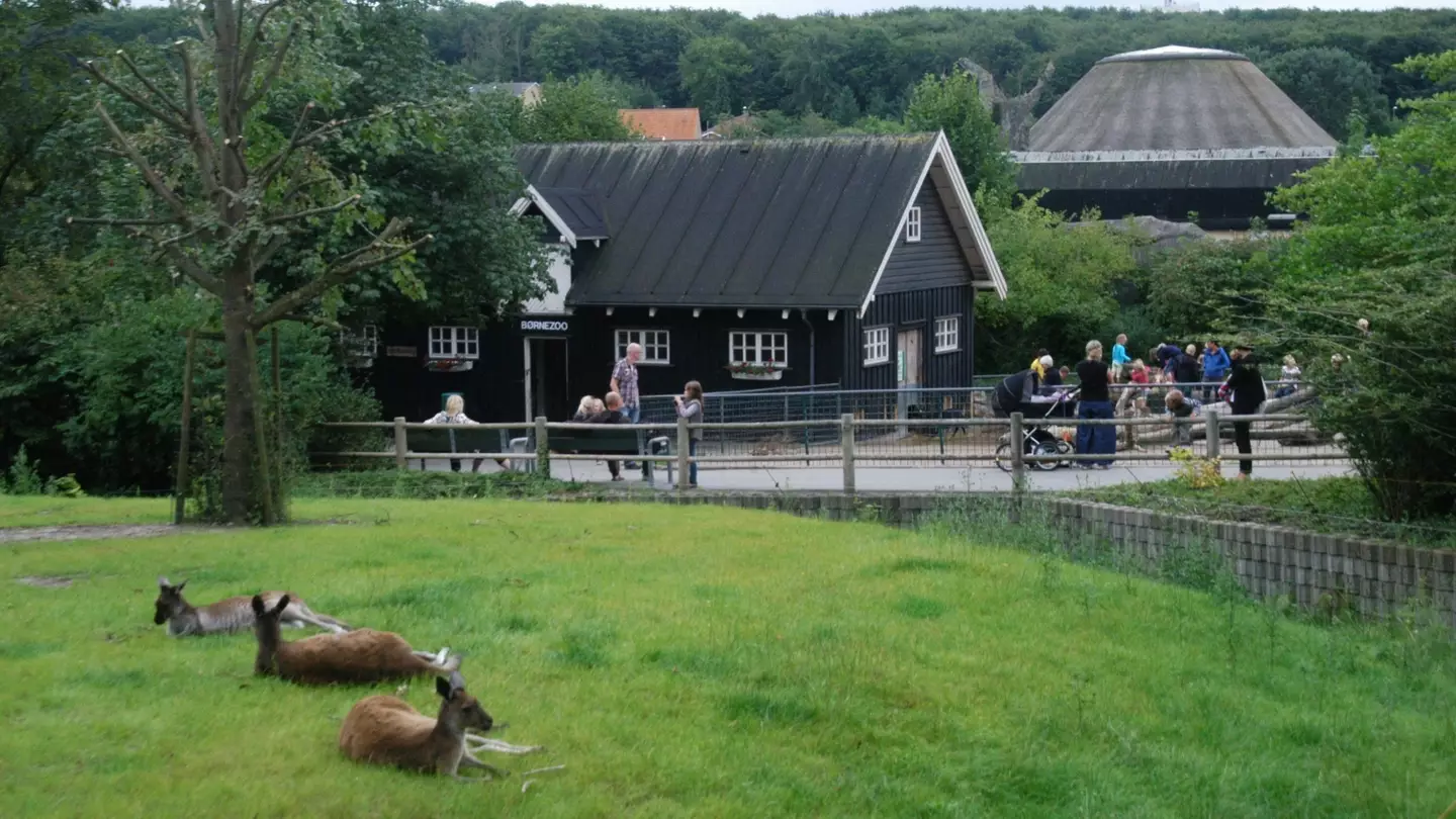 Mother revealed why she donated daughter’s pony to zoo for horrifying reason