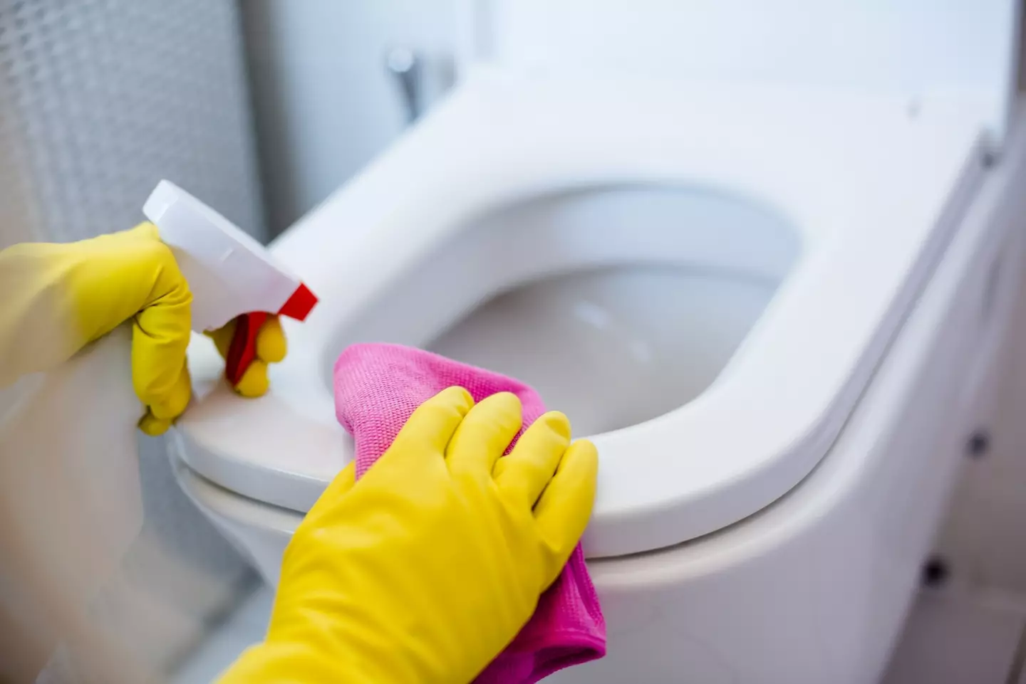 The TikTok creator says you should dust your toilet before you begin scrubbing (Getty Stock Image)